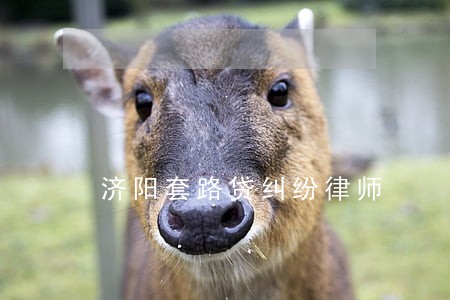 济阳套路贷纠纷律师 济阳套路贷纠纷律师