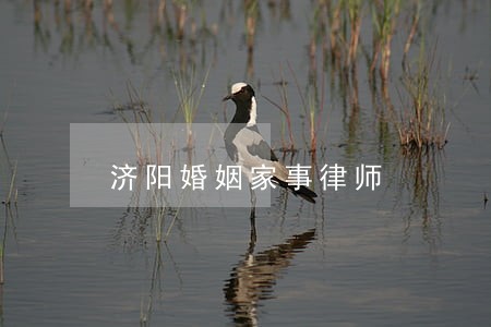 济阳婚姻家事律师 济阳婚姻家事律师