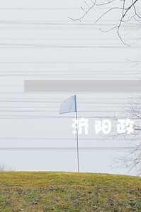 济阳政务信息网
