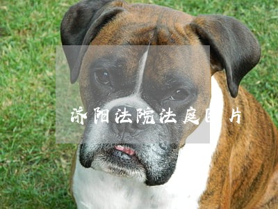 济阳法院法庭图片 济阳法院法庭图片