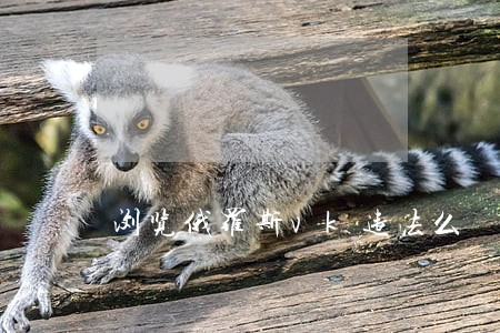 浏览俄罗斯vk违法么 浏览俄罗斯vk违法么