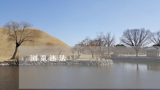 浏览违法