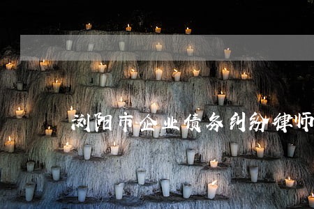 浏阳市企业债务纠纷律师费多少 浏阳市企业债务纠纷律师费多少
