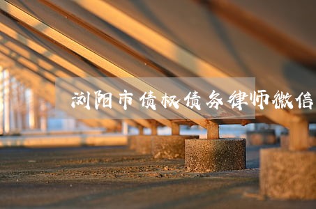 浏阳市债权债务律师微信咨询 浏阳市债权债务律师微信咨询