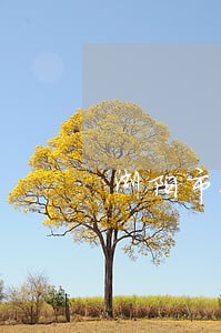 浏阳市减刑缓刑律师哪个好 浏阳市减刑缓刑律师哪个好