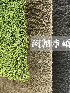 浏阳市婚姻家庭法律咨询 浏阳市婚姻家庭法律咨询
