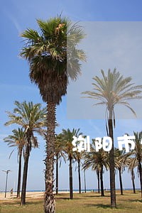 浏阳市欠款债务律师哪家好