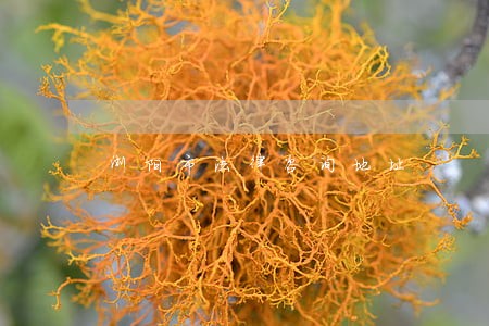 浏阳市法律咨询地址 浏阳市法律咨询地址