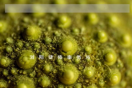 浏阳律师事务所 浏阳律师事务所