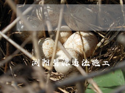 浏阳碧源违法施工 浏阳碧源违法施工