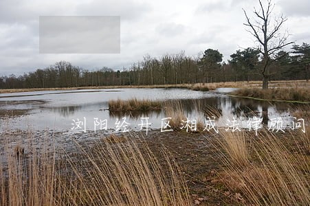 浏阳经开区湘成法律顾问有限公司 浏阳经开区湘成法律顾问有限公司