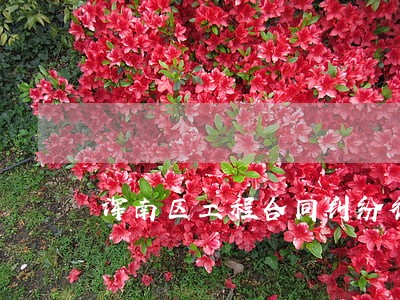 浑南区工程合同纠纷律师推荐 浑南区工程合同纠纷律师推荐