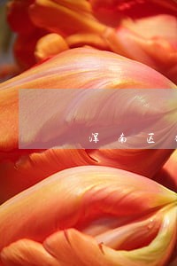 浑南区律师起草租房合同收费 浑南区律师起草租房合同收费