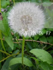 浑南医疗事故律师咨询