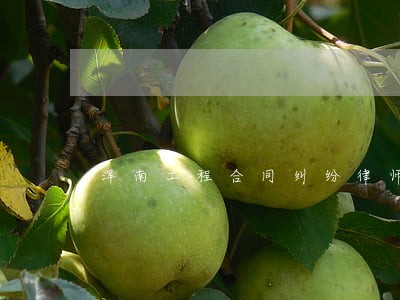 浑南工程合同纠纷律师 浑南工程合同纠纷律师