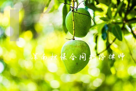 浑南担保合同纠纷律师 浑南担保合同纠纷律师