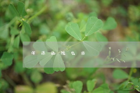浑源法院电话 浑源法院电话