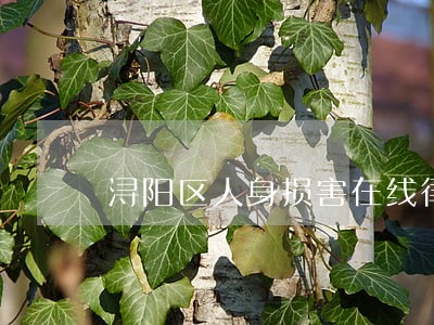浔阳区人身损害在线律师