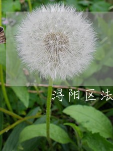 浔阳区法院少年庭电话 浔阳区法院少年庭电话