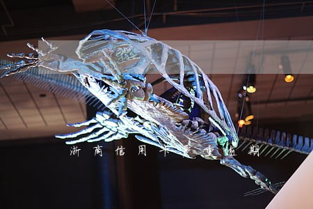 浙商信用卡严重逾期