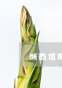 浙商信用卡因逾期停用卡片