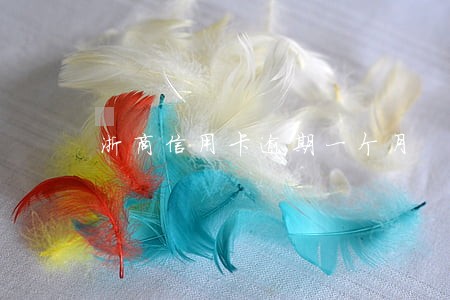 浙商信用卡逾期一个月