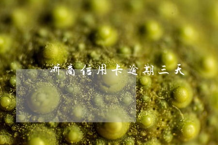浙商信用卡逾期三天 浙商信用卡逾期三天