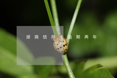 浙商信用卡逾期两年 浙商信用卡逾期两年