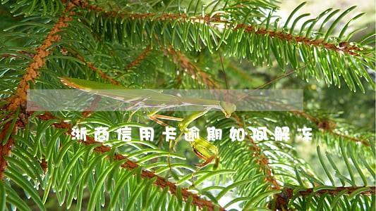 浙商信用卡逾期如何解冻 浙商信用卡逾期如何解冻