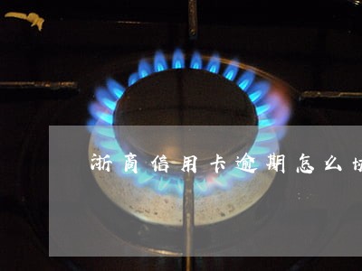 浙商信用卡逾期怎么协商分期 浙商信用卡逾期怎么协商分期