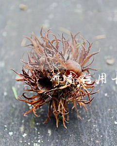 浙商信用卡逾期怎么算的 浙商信用卡逾期怎么算的