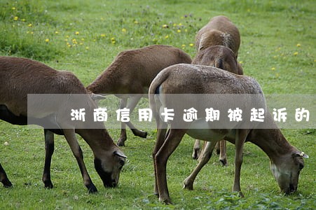 浙商信用卡逾期被起诉的案例 浙商信用卡逾期被起诉的案例
