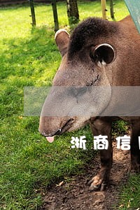 浙商信用卡逾期降额