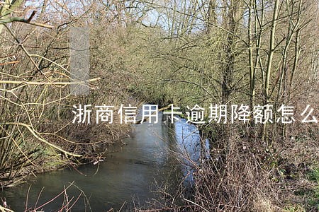 浙商信用卡逾期降额怎么办 浙商信用卡逾期降额怎么办