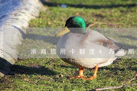 浙商信用卡额度4万逾期 浙商信用卡额度4万逾期