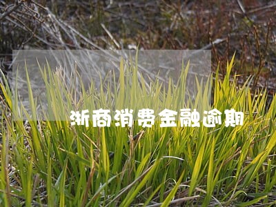 浙商消费金融逾期 浙商消费金融逾期