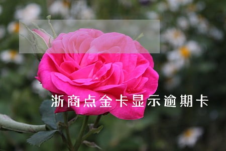浙商点金卡显示逾期卡 浙商点金卡显示逾期卡