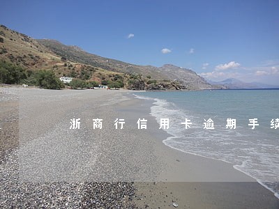 浙商行信用卡逾期手续 浙商行信用卡逾期手续