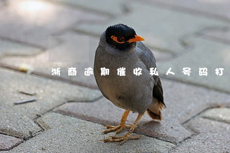浙商逾期催收私人号码打电话 浙商逾期催收私人号码打电话
