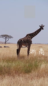 浙商逾期多久停卡 浙商逾期多久停卡
