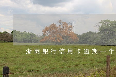 浙商银行信用卡逾期一个月 浙商银行信用卡逾期一个月