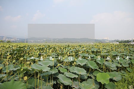 浙商银行信用卡逾期停卡了 浙商银行信用卡逾期停卡了