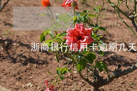 浙商银行信用卡逾期几天上征信 浙商银行信用卡逾期几天上征信
