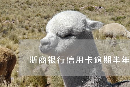浙商银行信用卡逾期半年没还 浙商银行信用卡逾期半年没还
