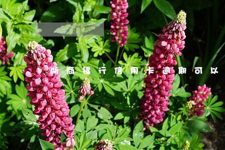 浙商银行信用卡逾期可以协商 浙商银行信用卡逾期可以协商