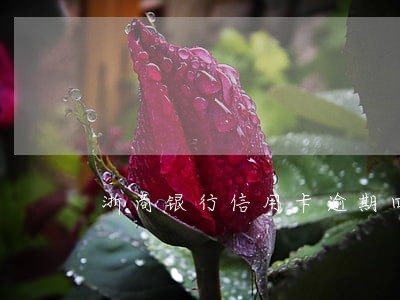 浙商银行信用卡逾期四天