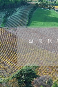 浙商银行信用卡逾期多久封卡