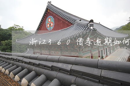 浙江360借条逾期如何协商 浙江360借条逾期如何协商