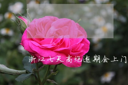 浙江七天高炮逾期会上门吗 浙江七天高炮逾期会上门吗