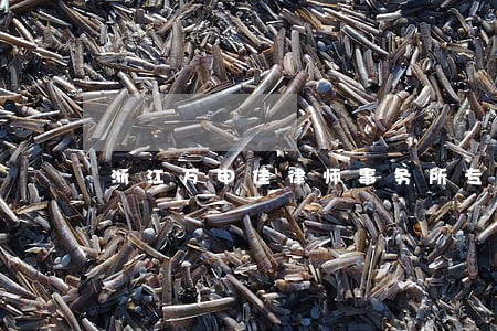 浙江万申佳律师事务所专业律师 浙江万申佳律师事务所专业律师